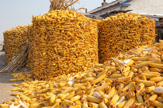 復(fù)肥種類：硝硫基、硝氯基、硫基、雙硫基、尿基