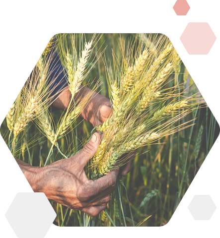 河南省艷陽天肥業(yè)有限公司